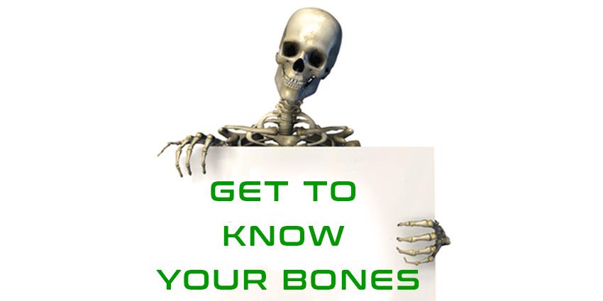 what my bones know book
